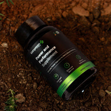 Load image into Gallery viewer, Vatsyayan Plus® - Power and Performance Supplement
